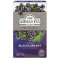 Blackcurrant | 20 alu sáčků
